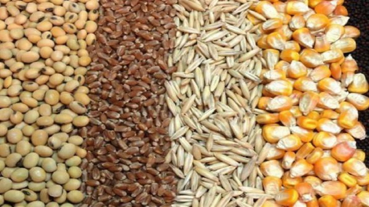 علت اصلی اختلاف قیمت مصوب نهاده با بازار آزاد چیست؟