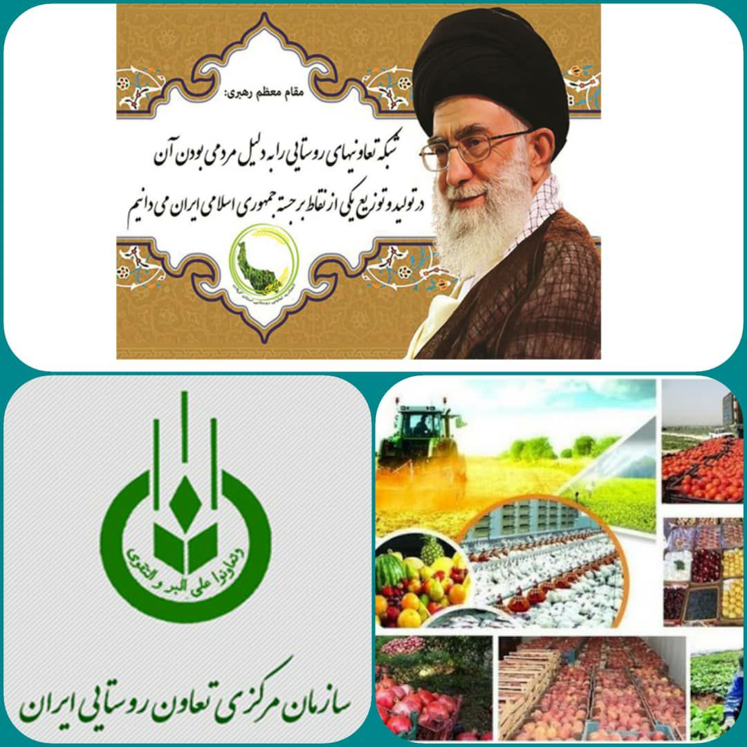 در خصوص واگذاری تصدی سازمان مرکزی تعاون روستایی به بخش خصوصی