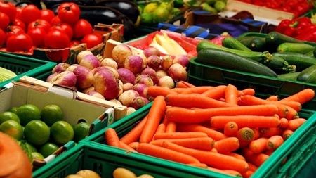 اجرای ۵ پروژه دانشبنیان برای افزایش کیفیت محصولات کشاورزی