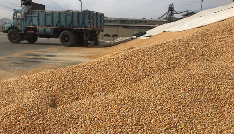 موجودی ۴ میلیون تنی نهاده‌های دامی در بنادر