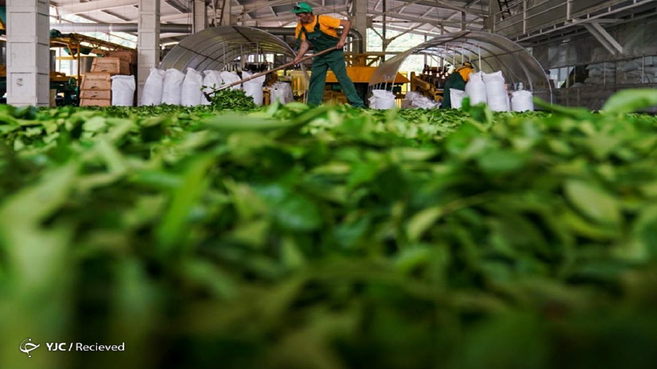 امنیت غذایی به امنیت ملی گره خورده است