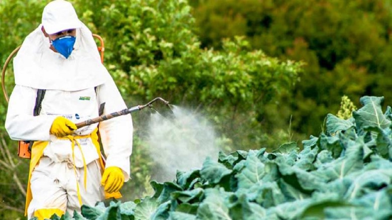 مقاومت علف‎ های هرز در برابر برخی سم ها