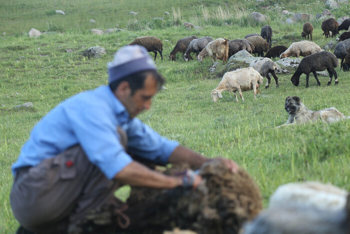 خشکسالی بیش از ۶ هزار میلیارد تومان به مراتع کشور خسارت زد