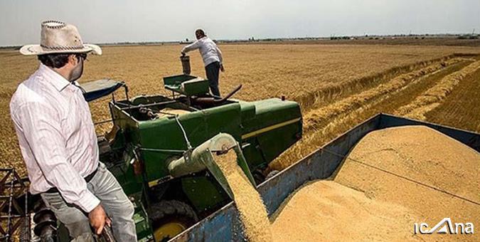 عملکرد دولت در پرداخت مطالبات گندمکاران قابل قبول نیست