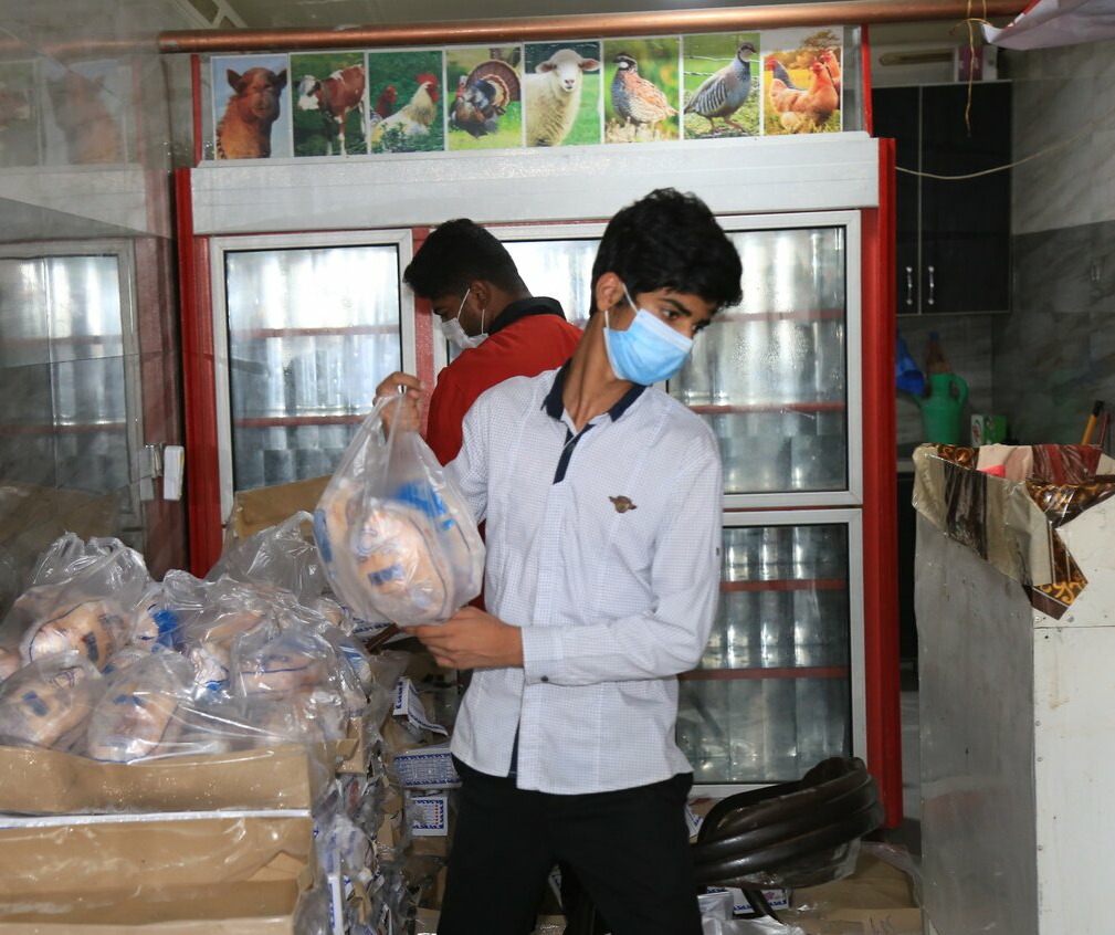 روزانه ۲۰ تن مرغ منجمد در بازار های خراسان شمالی توزیع می شود