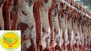 احتمال گرانی گوشت گوسفند در نیمه دوم سال