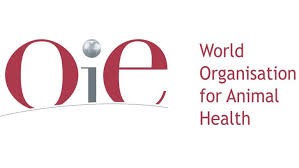 تصویب ۹۴ قطعنامه در اجلاس ۸۸ سازمان جهانی بهداشت دام