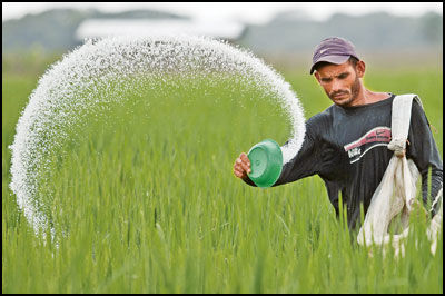 مواد کودی FIORE تقلبی است