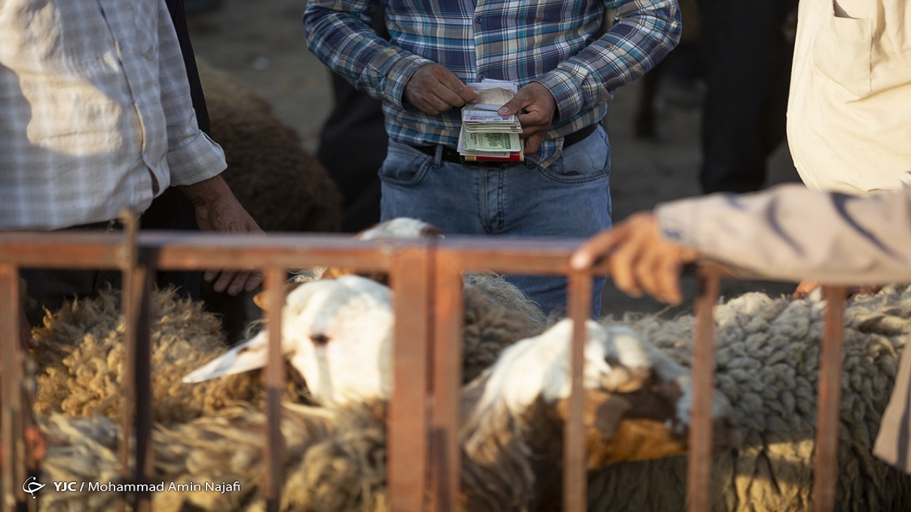 مردم از مصرف جگر خام اجتناب کنند