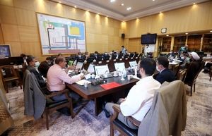 تاکید بر ترخیص نهادههای دامی از گمرک