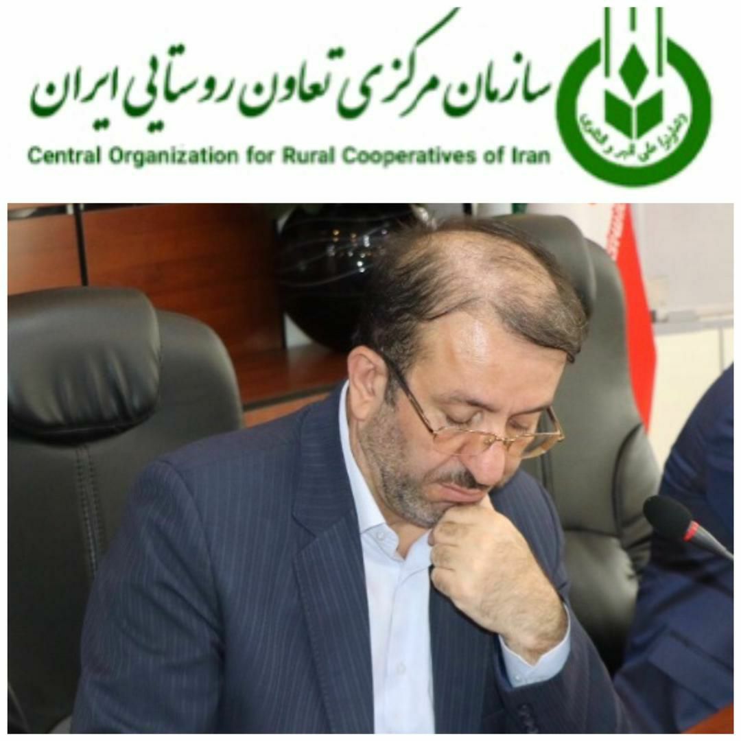 حسابهای بانکی سازمان در معرض انسداد و در آستانه تحقیق و تفحص مجلس شورای اسلامی/ وارث سازمانی با چالش‌های فراوان هستیم