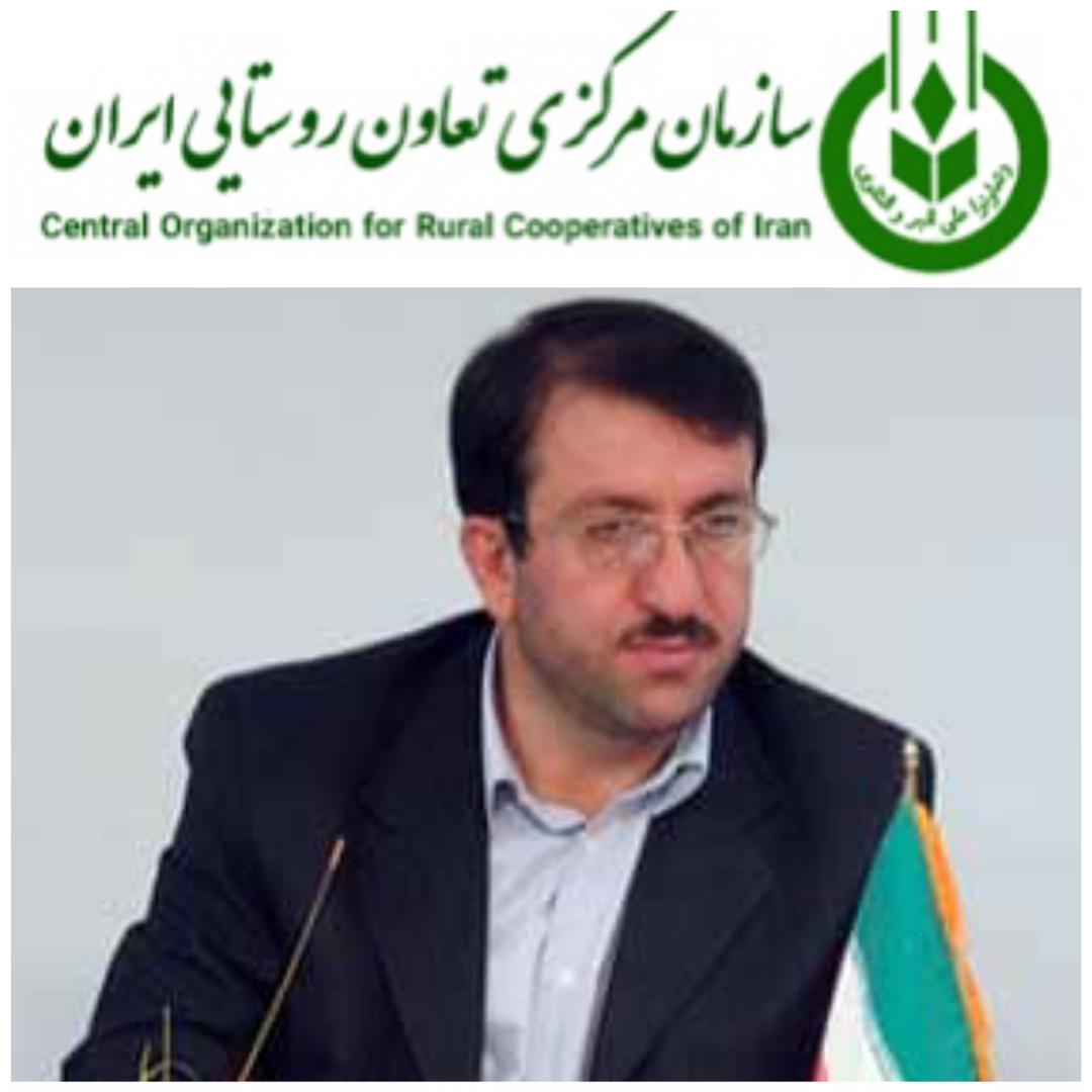 خرید حمایتی سیب زمینی از کشاورزان گلستان با هدف حفظ تعادل قیمت و حمایت از کشاورزان/ استقرار ۱۰ مرکز خرید در استان گلستان با پراکندگی مناسب