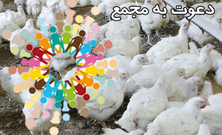 جلسه هماهنگی دانش، صنعت و بازار صنعت طیور