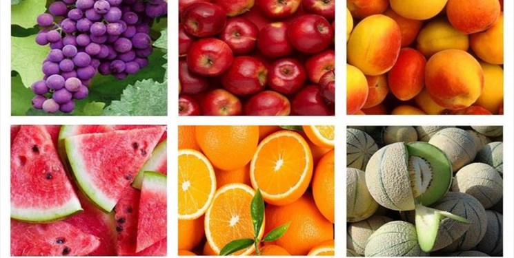 روسیه با افزایش تولیدات کشاورزی گرانی را مهار کرد