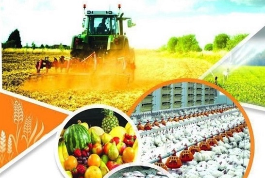 تقویت دیپلماسی کشاورزی برای ارتقای قدرت صادراتی کشور