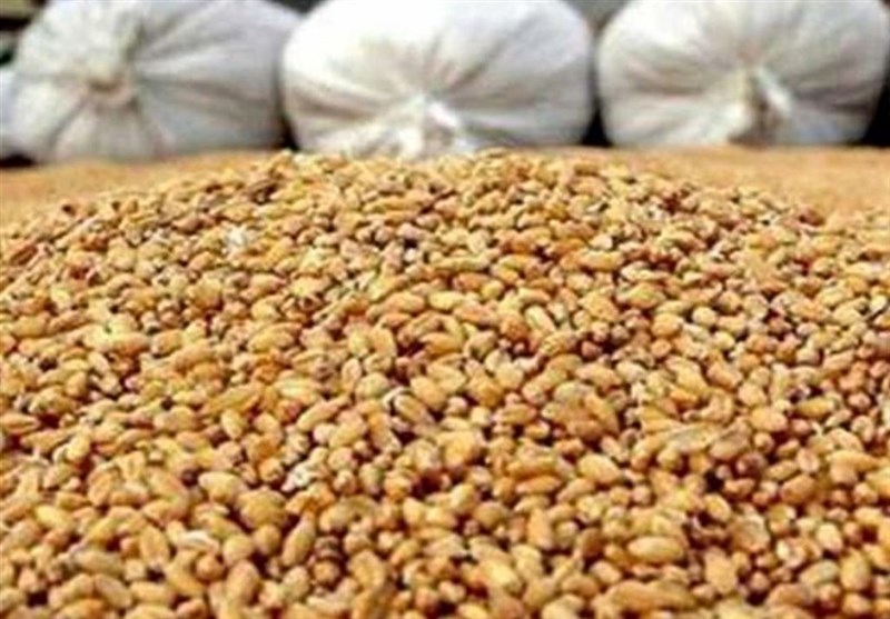 زنگ خطر کاهش نهاده های دامی به صدا درآمد