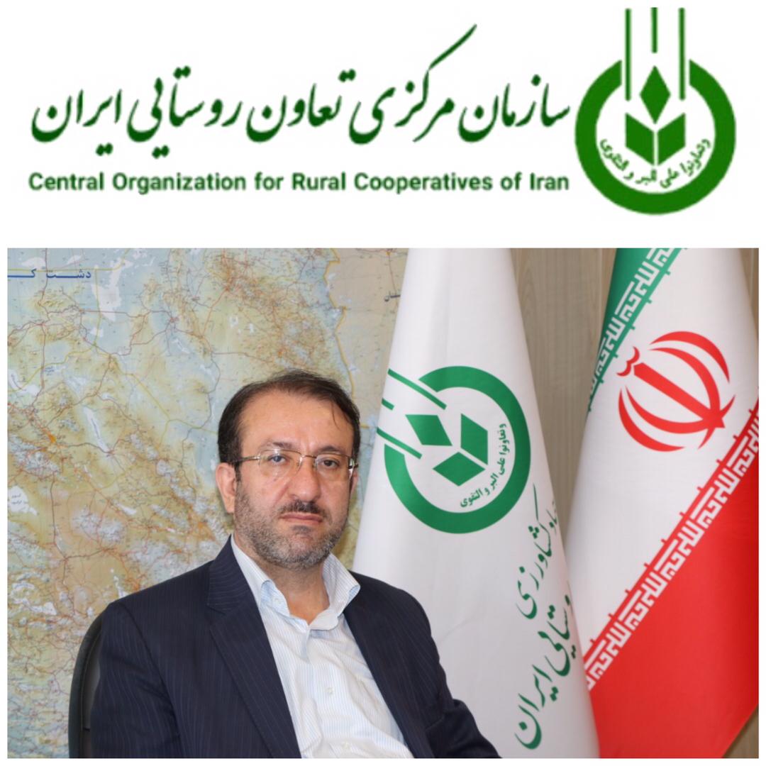 مطالبات سیب زمینی کاران استان گلستان پرداخت شد