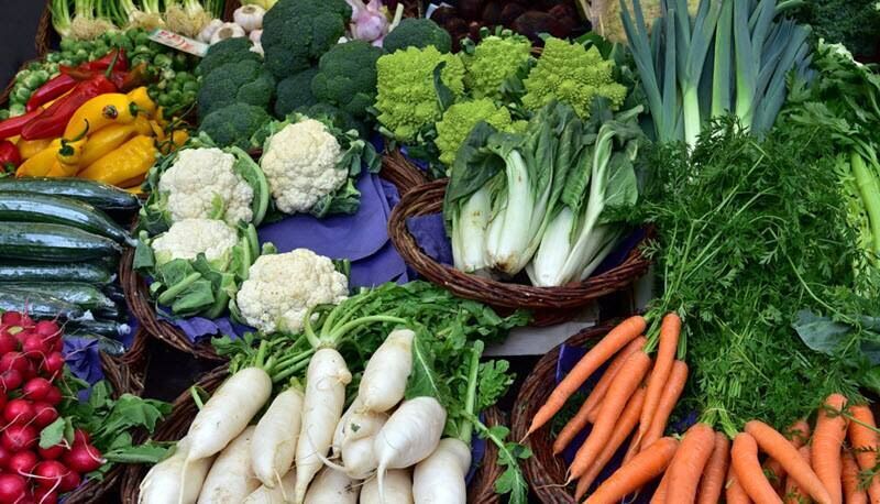 برنامه تولید محصولات سبزی و صیفی برای سال زراعی جدید ابلاغ شد