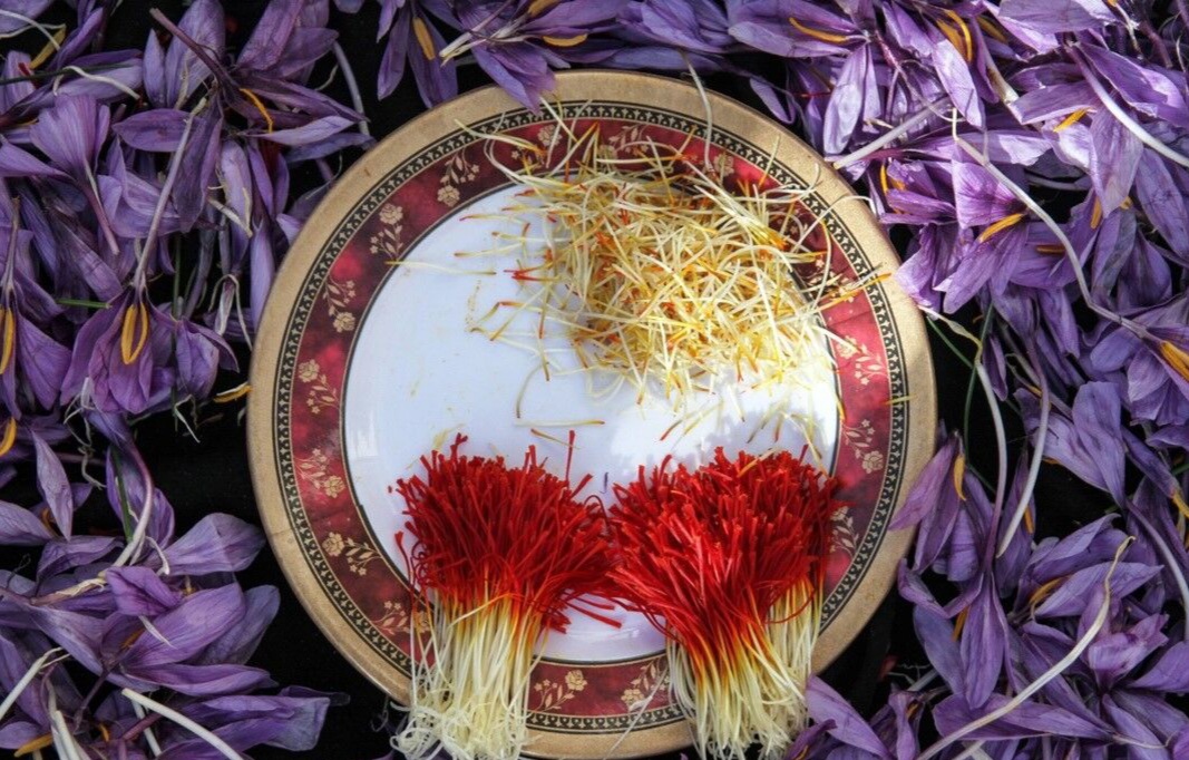 افزایش هزینه تولید و چالش قیمت طلای سرخ