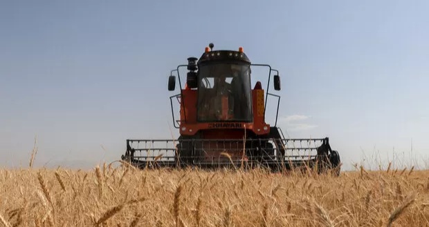 ۷۰ درصد ارزش‌افزوده بخش کشاورزی به حوزه زراعت اختصاص دارد