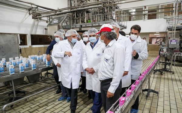 ثبات قیمت لبنیات در کشور ضروری است