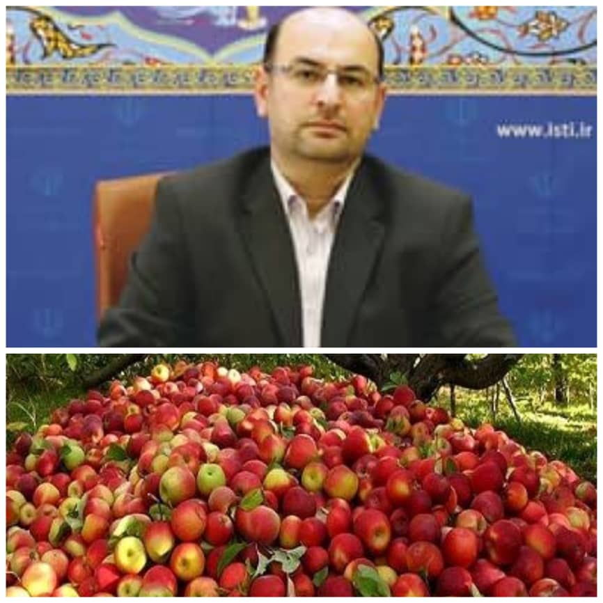 نباید به خام فروشی عادت کنیم/ در صنایع تبدیلی، زیرساخت‌ خوبی نداریم/ در گام نخست، شروع به تحویل سیب به صنایع تبدیلی کرده ایم/ امیدواریم در یکسال آینده خبر‌های خوبی برای کشاورزان داشته باشیم