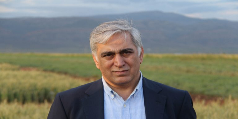 برآورد خرید تضمینی گندم سال زراعی جدید ۱۰ میلیون تن است