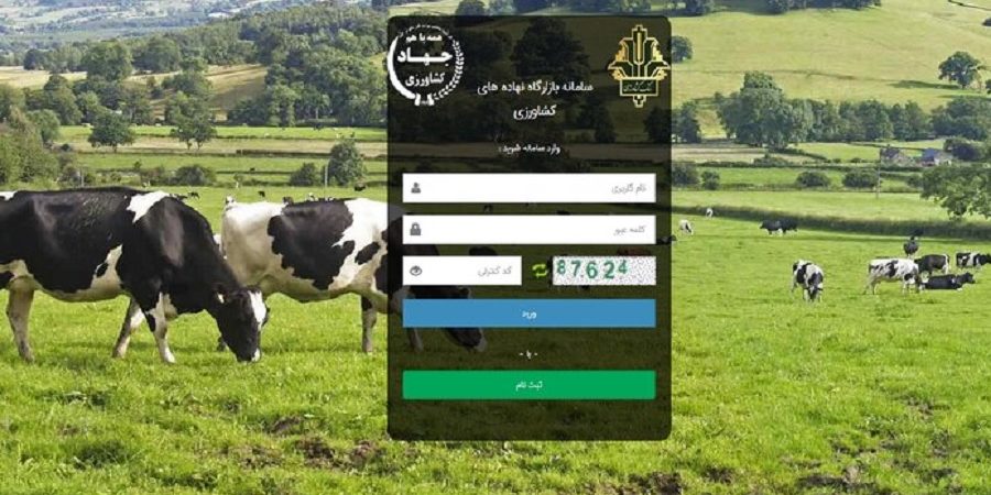 رضایت تشکل های تولید کننده از بازارگاه و تاکید بر اصلاح مشکلات آن