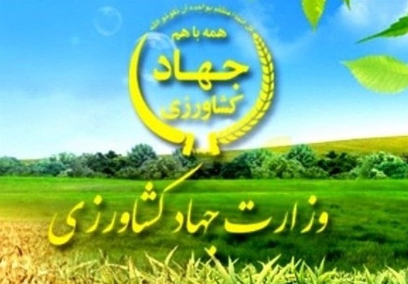 اجرای طرح آبخیز تا جالیز برای افزایش آبدهی و پایداری قنوات توسط وزارت جهاد کشاورزی