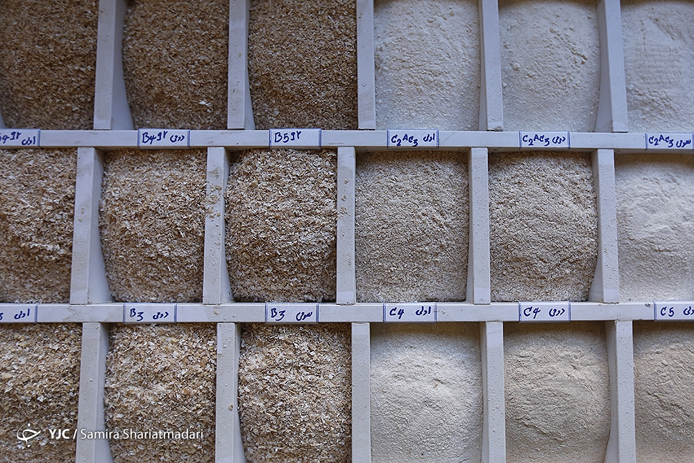 تولید با کیفیت ملاک‌تعیین سهمیه کارخانجات آرد