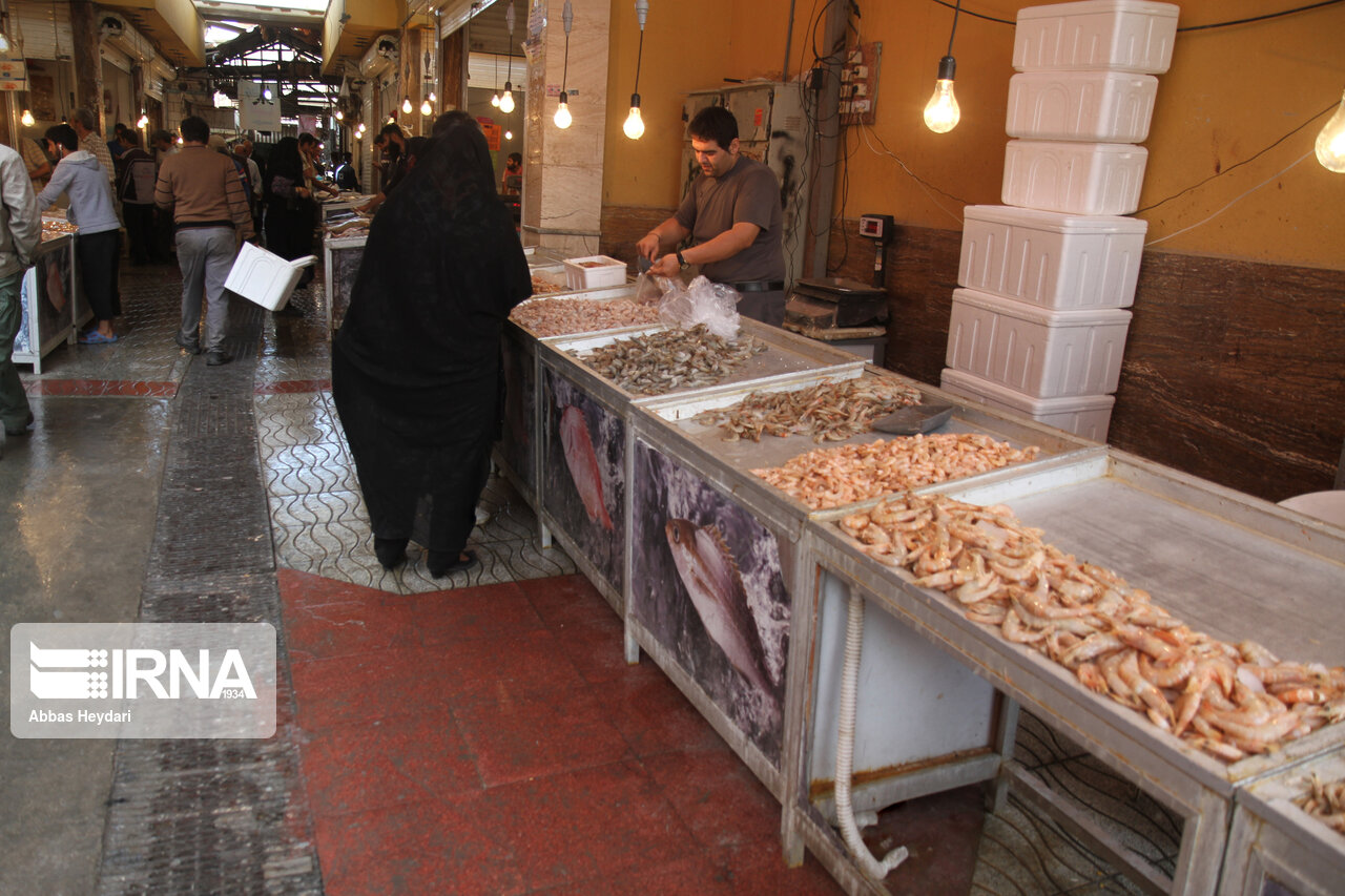 امکان پرورش ۳۵۰ هزار تن میگو و ماهی در آبهای ساحلی کشور