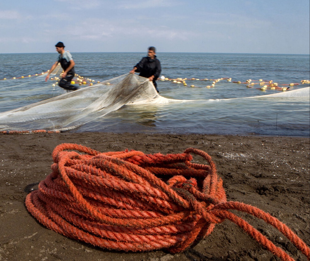 تور صیادان مازندران ۱۵ مهر در دریای خزر پهن می‌شود
