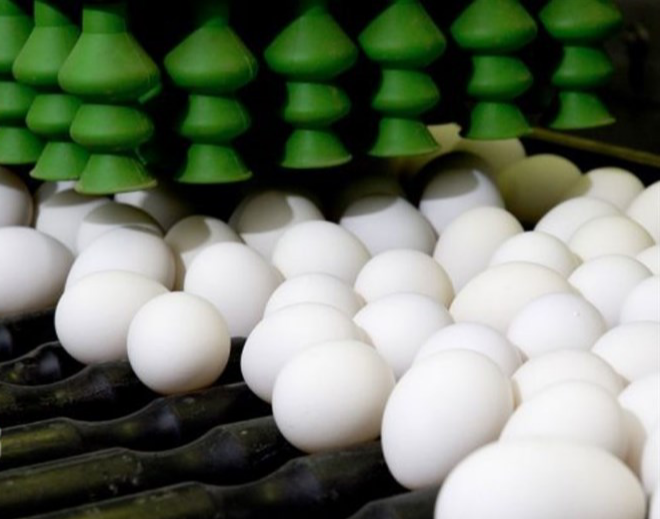 قیمت مصوب ۴۲۵۰۰ تومان شد