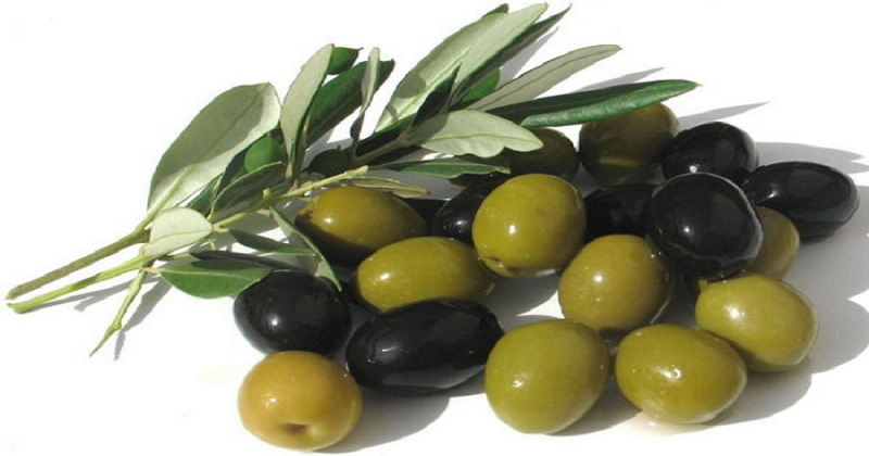 واردات تفاله‌های زیتون در غیاب سازمان استاندارد