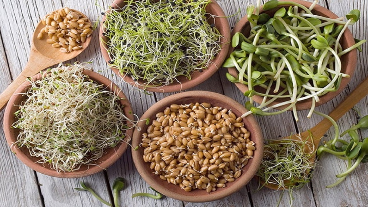 علت کشتار بی رویه دام های مولد چیست؟