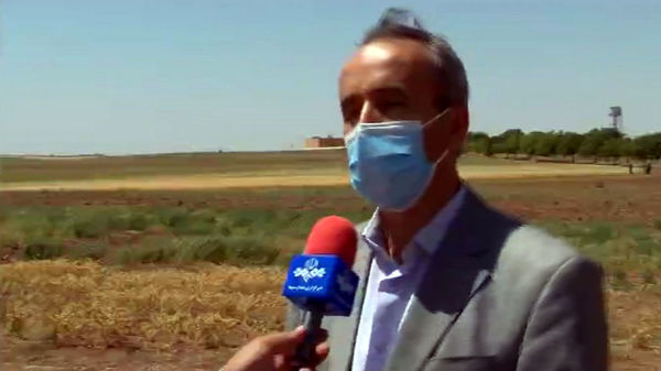 رئیس موسسه تحقیقات کشاورزی دیم کشور گفت‌: این موسسه رتبه نخست را از لحاظ تجاری سازی یافته های تحقیقاتی کسب کرده است.