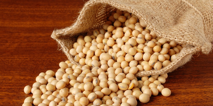 خرید سویا به ۳۰۰۰ تن رسید