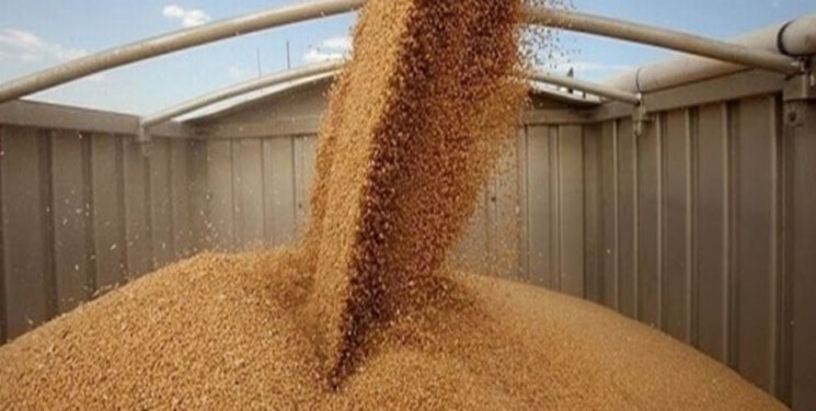 ایران برای خرید ۱۸۰ هزار تن گندم در مناقصه بینالمللی شرکت کرد