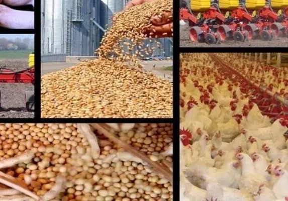 احتمال کند شدن واردات کالاهای اساسی در ماه های آتی