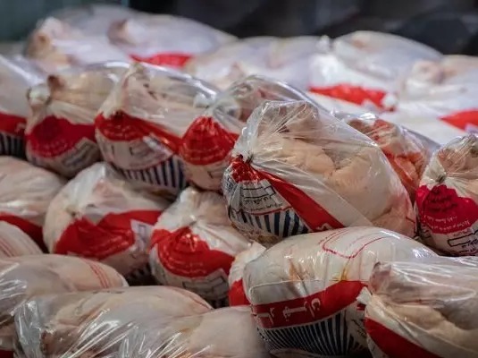 «واحدهای توزیعی مرغ» برای دریافت کد یکتا ۲ ماه فرصت دارند