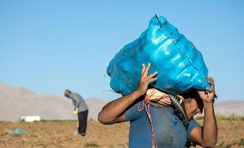 اغلب سموم کشاورزی بدون نسخه نویسی مصرف میشود
