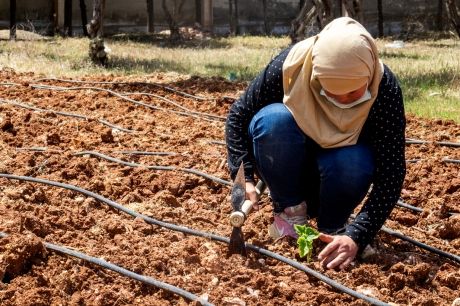 راهکارهای سازمان خواربار و کشاورزی ملل متحد (فائو) برای بهبود وضعیت منابع آب و خاک