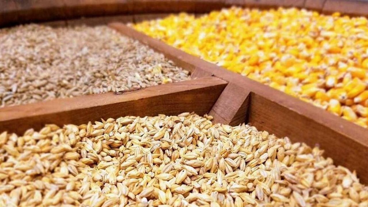 کارخانه های خوراک با ۳۰ درصد ظرفیت کار می‌کنند