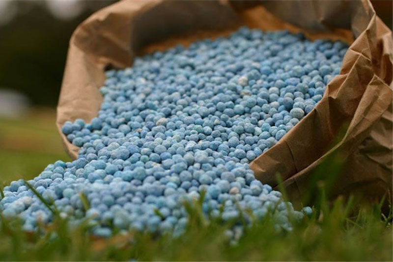 کشاورزان کودهای یارانه‌ای را از شبکه‌های رسمی خریداری کنند