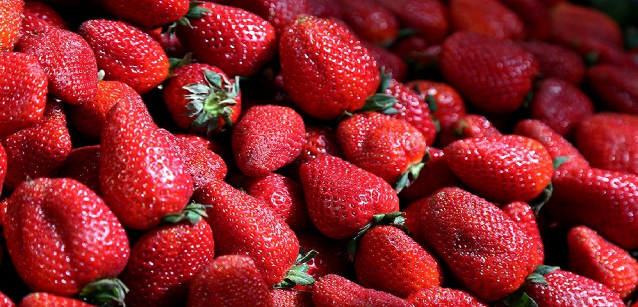 عرضه توت فرنگی با نرخ ۲۰۰ هزار تومان غیر منطقی است