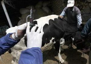 انتقاد از ممنوعیت ثبت سفارش ۹ قلم کالای دارویی دامی