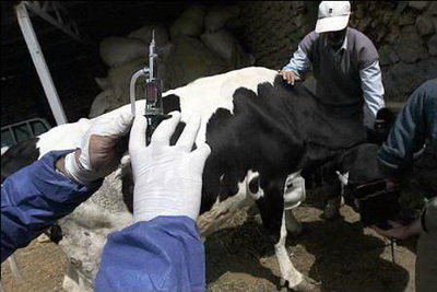 انتقاد از ممنوعیت ثبت سفارش ۹ قلم کالای دارویی دامی