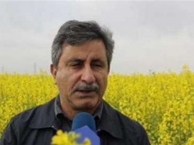 برنامه خودکفایی در تولید شکر و پنبه در دولت سیزدهم