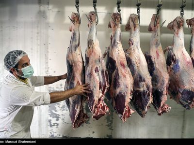 تولید گوشت در کشور به یک‌میلیون تن در سال می‌رسد