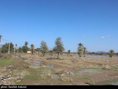 تفاهم اولیه با چین برای فاینانس طرح کشاورزی ۵۵۰ هزارهکتاری خوزستان و ایلام